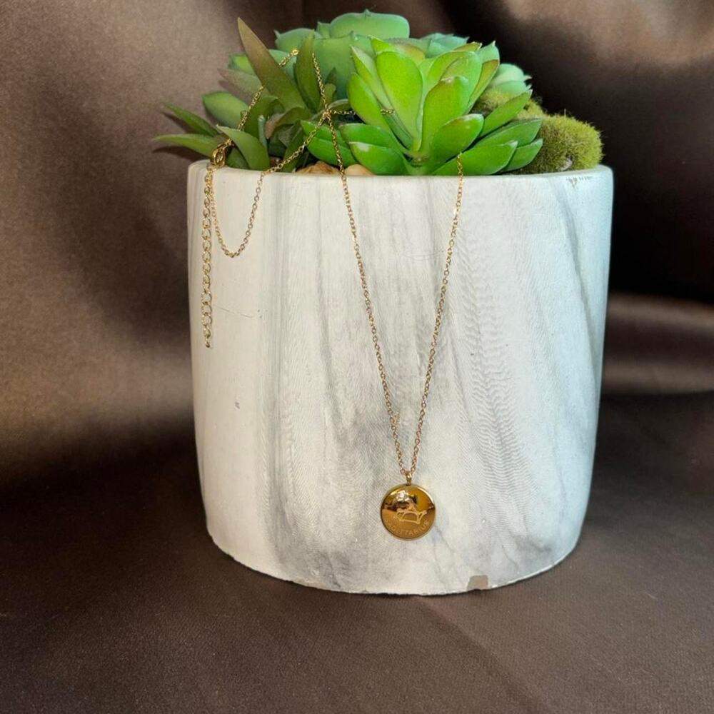Sagittarius zodiac gold necklace astrology new comes with box